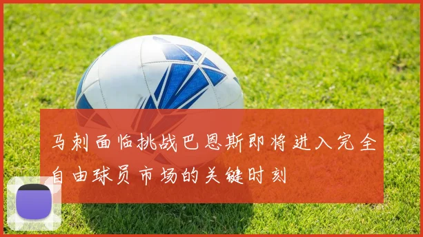 马刺面临挑战巴恩斯即将进入完全自由球员市场的关键时刻